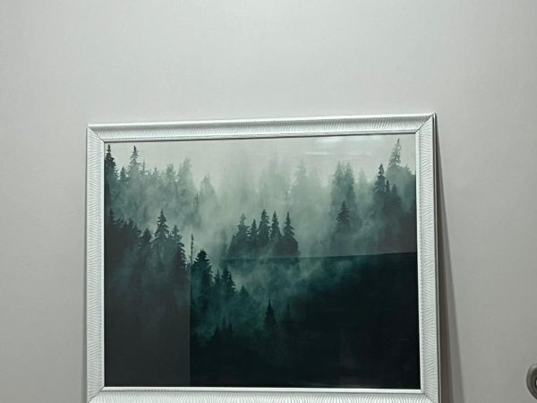Art Print Evergreen