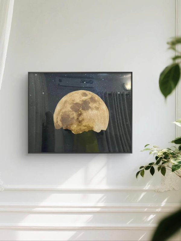 Art Print Moonlight
